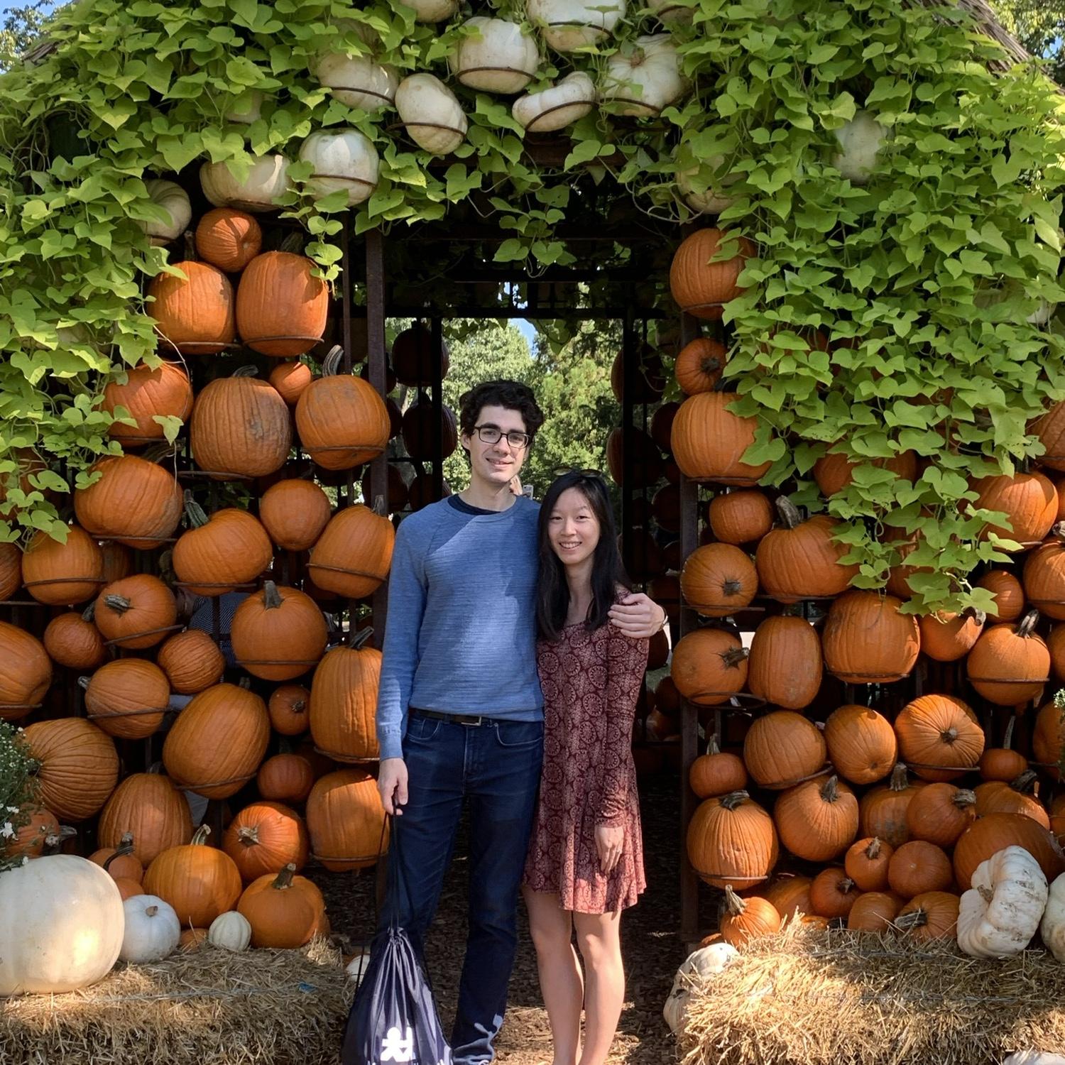 Cheekwood fall fest!