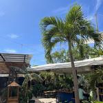 Tamarindo