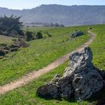 Tomales Bay Trailhead
