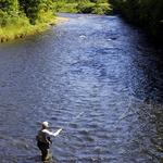 Catskill Fly Fishing Center and Museum