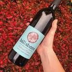 Billsboro Winery