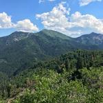 Millcreek Canyon