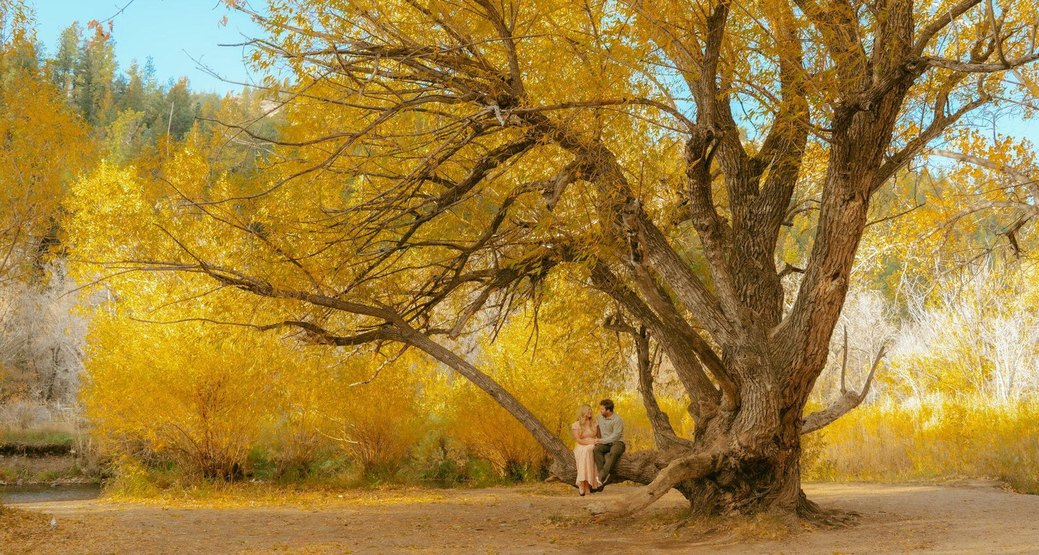 The Wedding Website of Allison Cannon and Keegan Stansberry