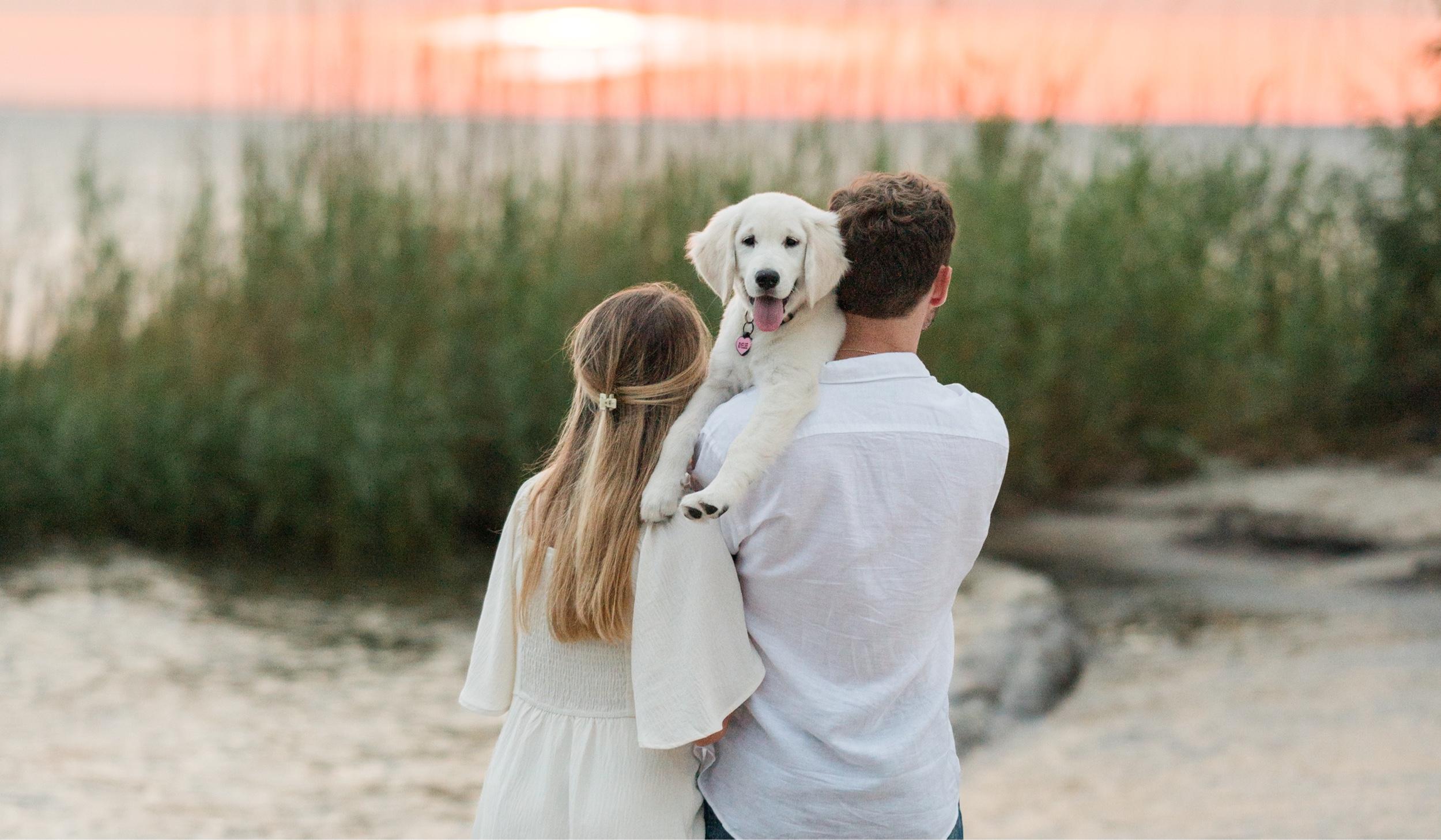 Hero Slideshow Image 0