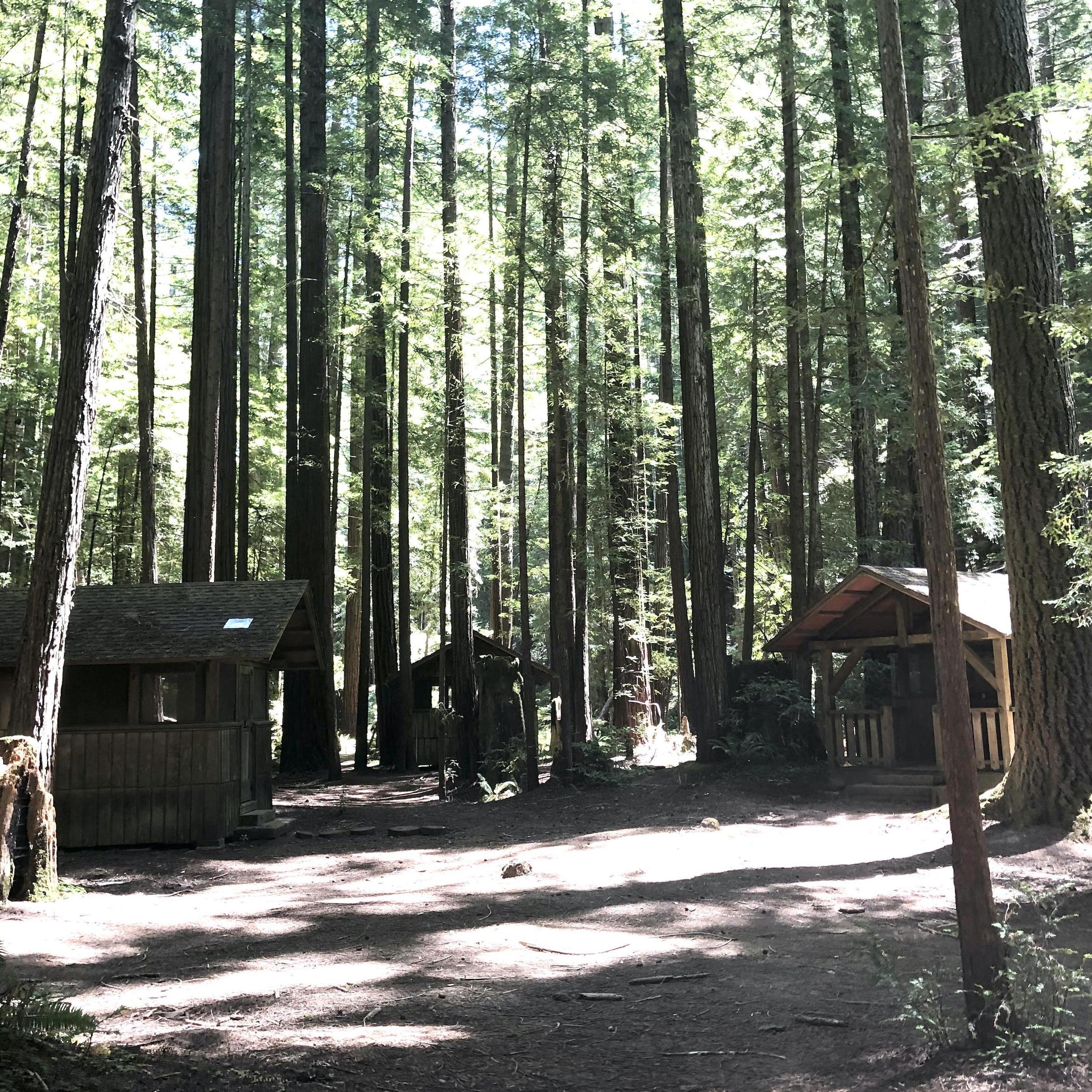 Guest cabins are split into four "pods". Each pod has its own cold water restroom with flush toilets & sinks. (Hot water wash house is near the dining hall.)