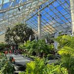 Downtown Botanical Conservatory