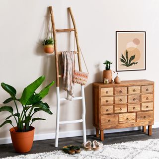 Urban Homestead Painted Wall Ladder