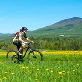 Mountain Biking