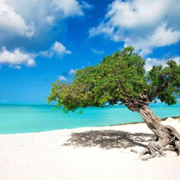 Our Aruba Honeymoon Fund