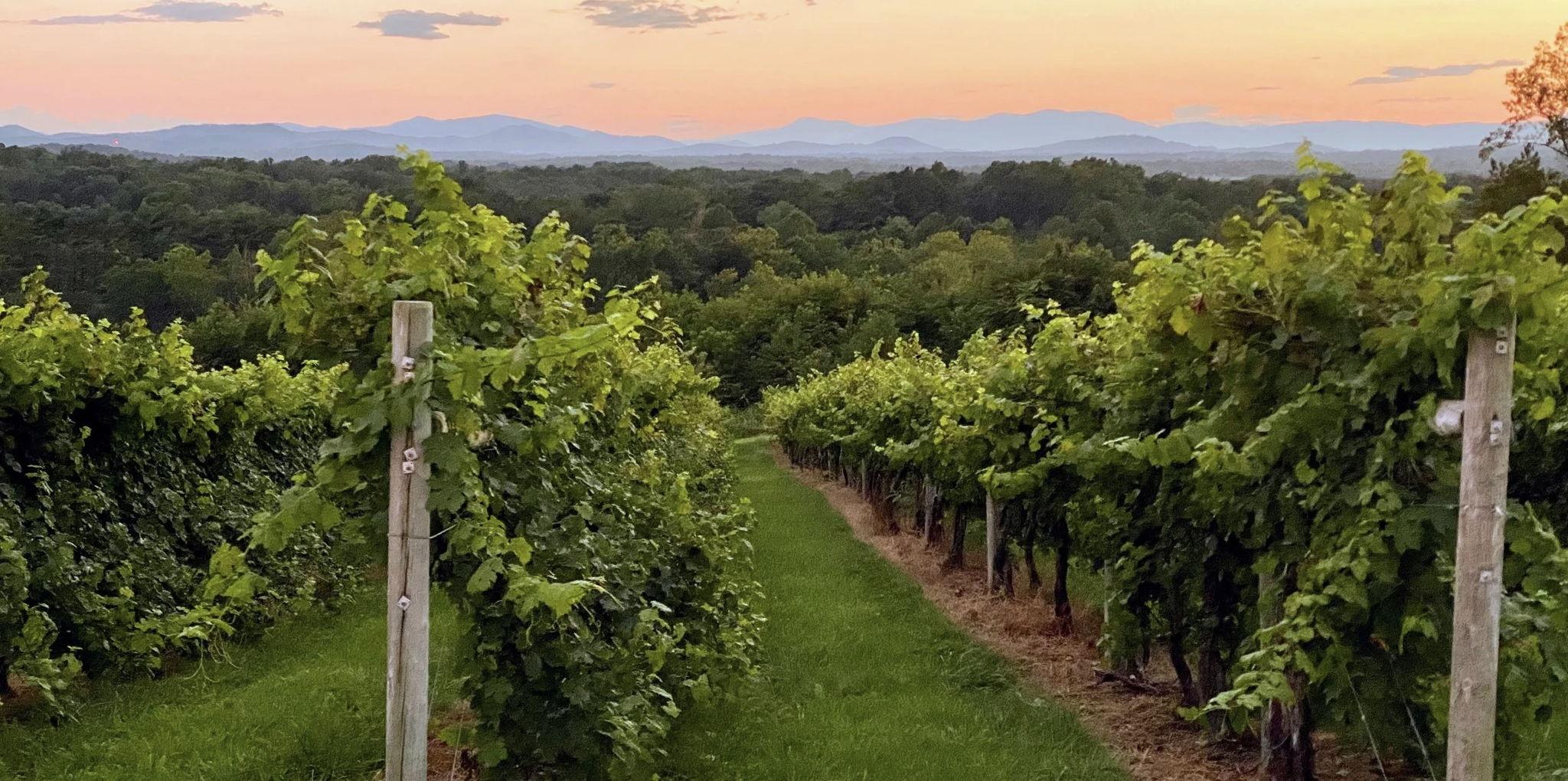 The Wedding Website of Carly Manning and Babadee Angwafo