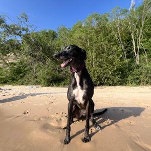 Molly Spoilage Fund