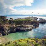 Point Lobos State Natural Reserve