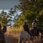 Orcas Island Trail Rides