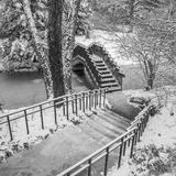 Dow Gardens