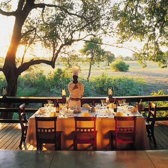 Safari Dining Experience