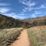 Hiking Trails