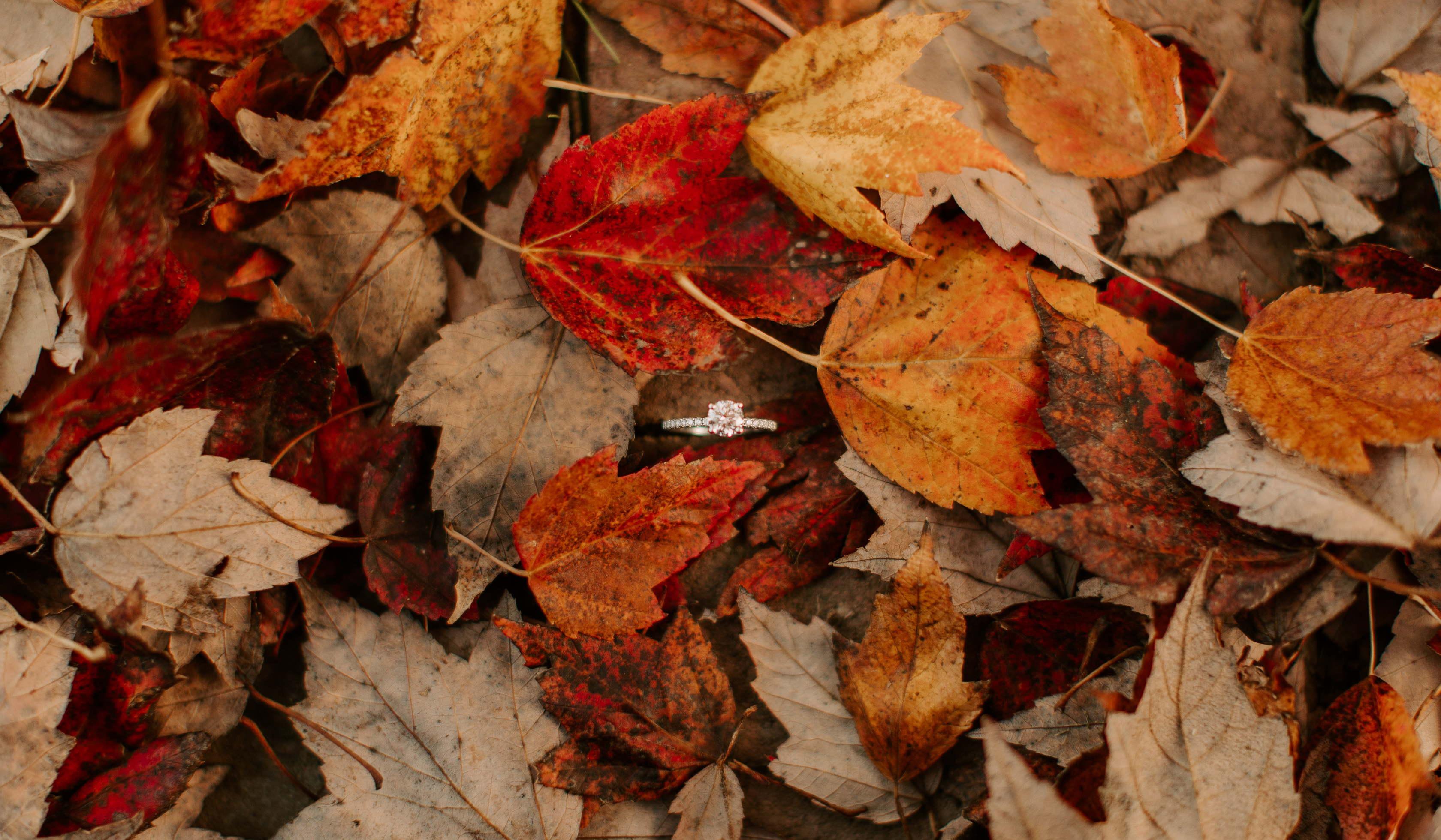 Footer image