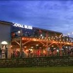 Royal Bliss Brewing Co.