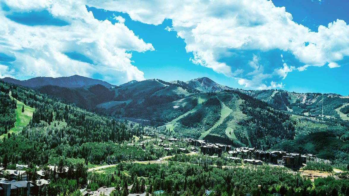 The Wedding Website of Madee Bryke and Marcin Sadowski