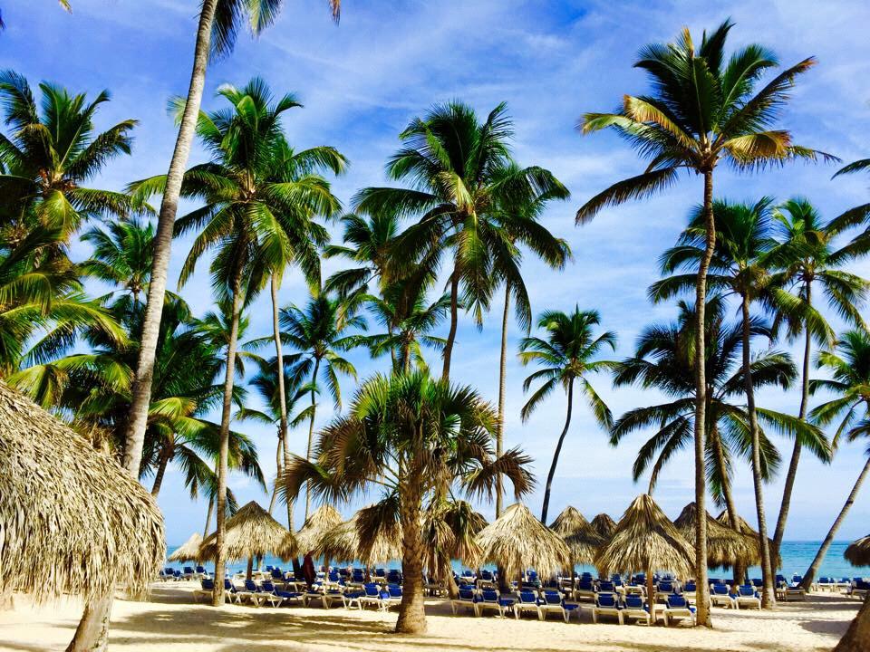 DOMINICAN DECEMBER 2014