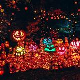 Jack O'Lantern Spectacular