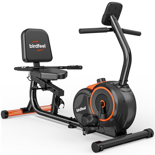 Recumbent Exercise Bike for Home,Recumbent Stationary Bikes for Adults & Seniors,Load Capacity of 400 pounds,Equipped with 16 Adjustable Gears, and Soft Adjustable Seats