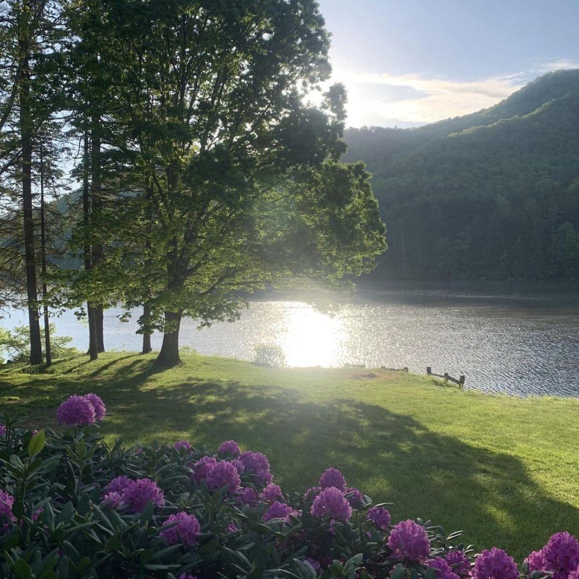 The views at Lake Logan