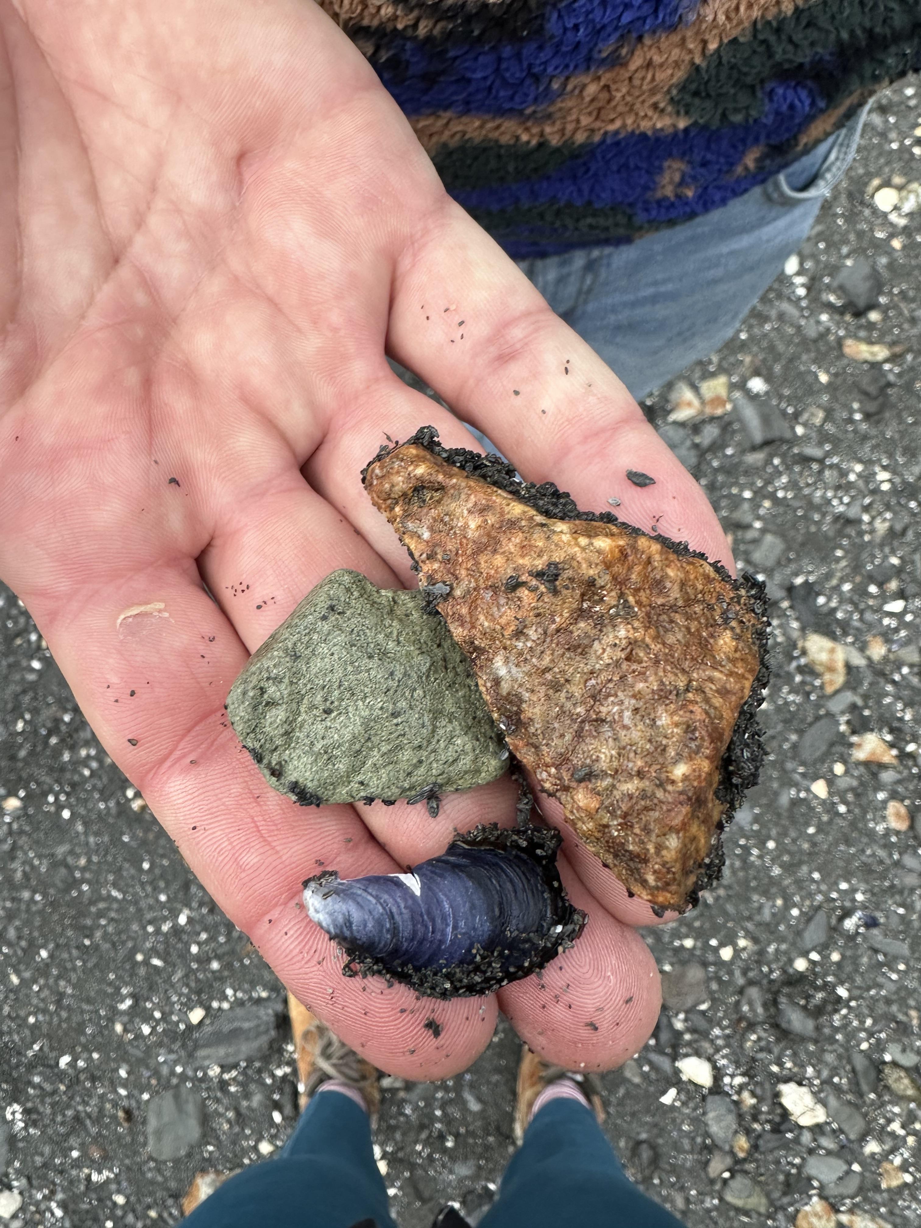 The Wedding Website of Tony Magart and Tyler Pitts