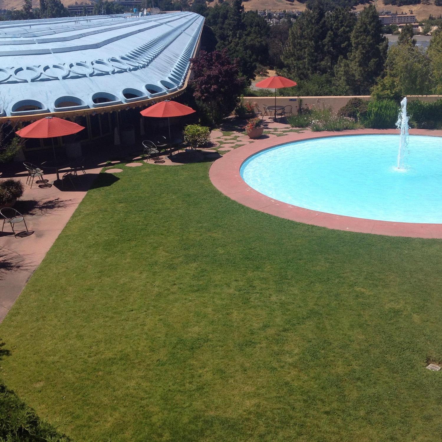 Marin Civic Center is amazing and among the last of the Frank Lloyd Wright buildings. He died while they were making it and it was finished by his assistants, I think.