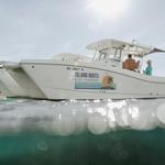 Island Roots Charters