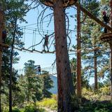 Aerial Challenge Course at YMCA Estes Park Center