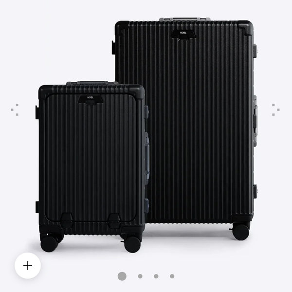 Carry-on + Check-in