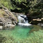 Melinda's Hidden Gem of Oregon: Opal Creek Trail