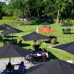 Del Vino Vineyards