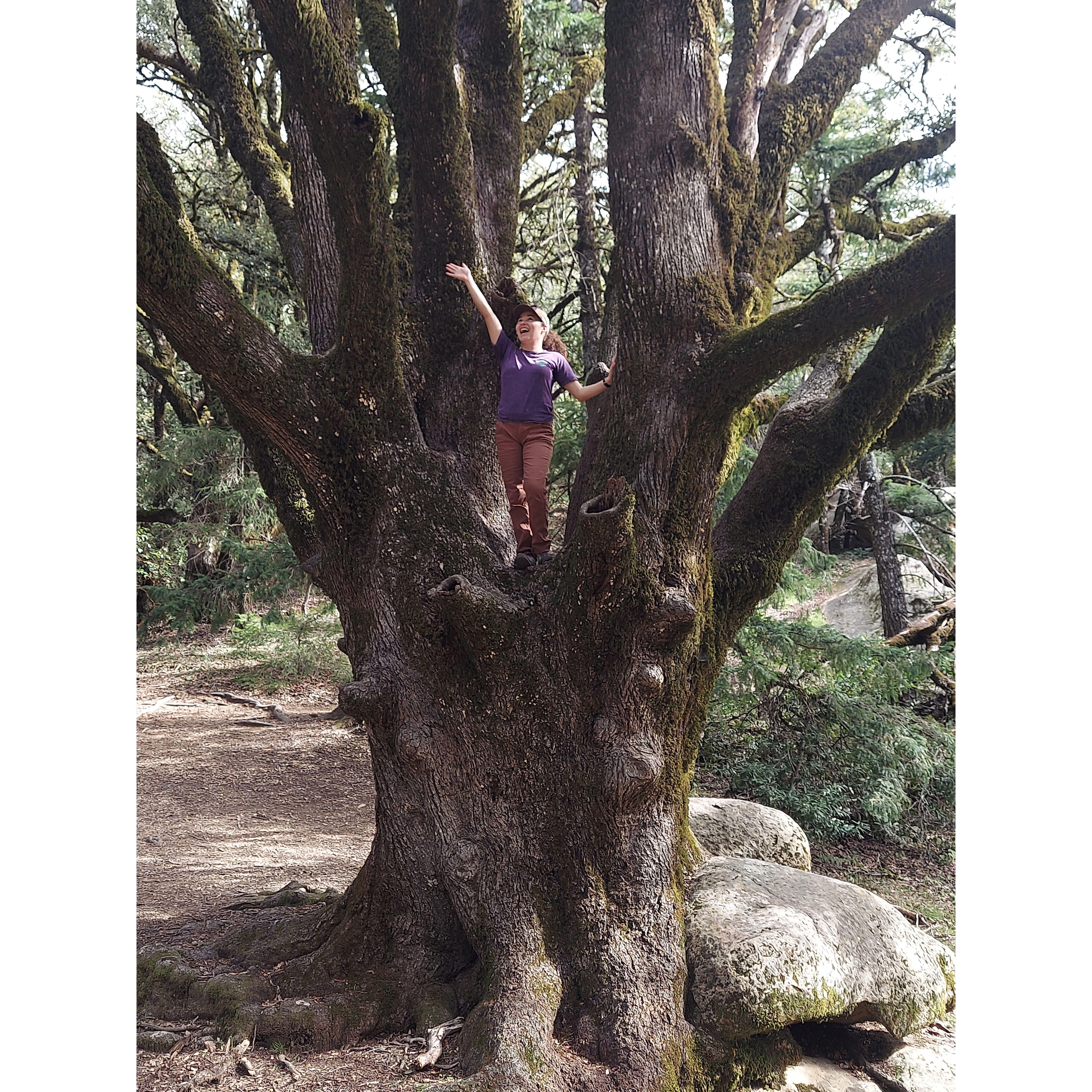 more from Castle Rock SP - 2024
