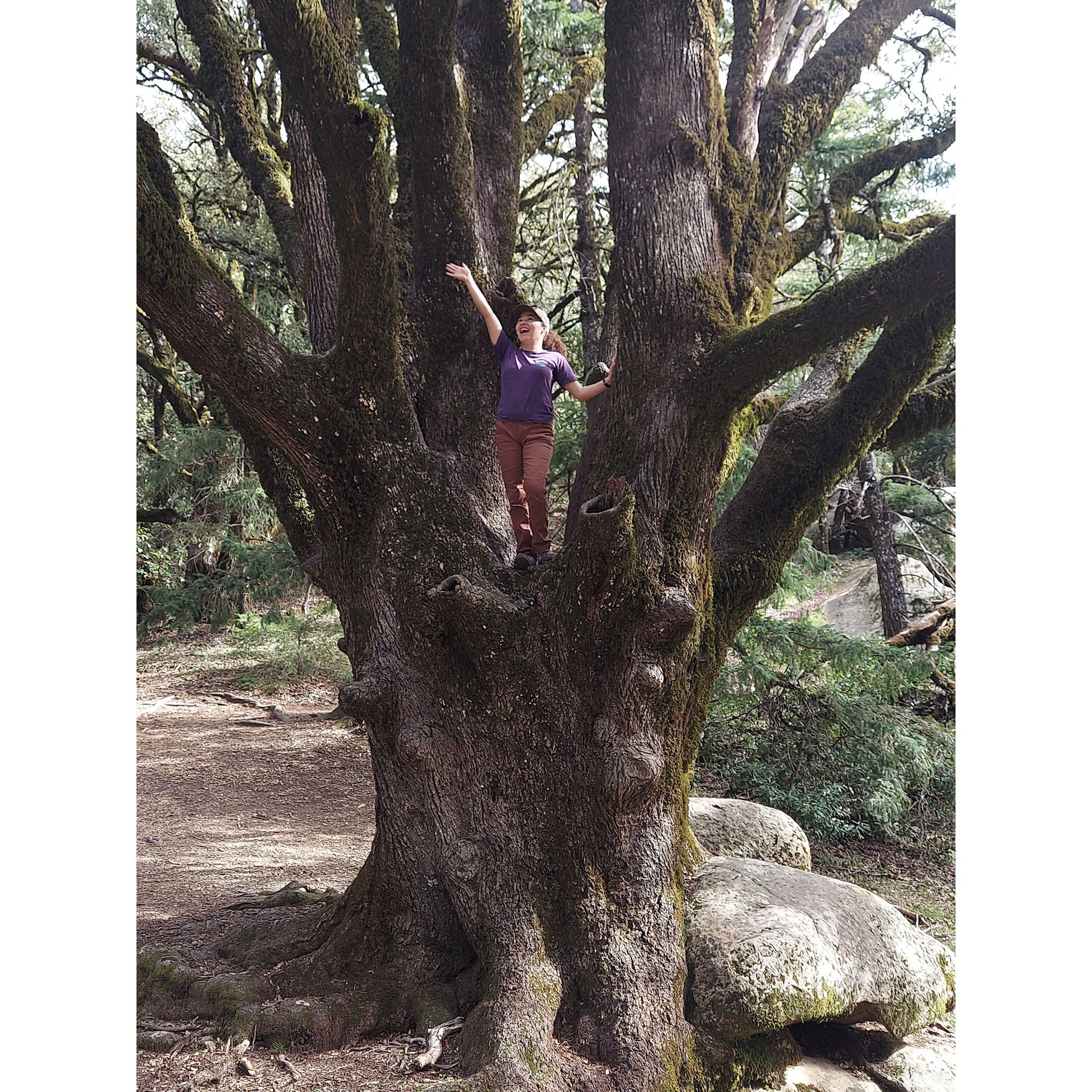 more from Castle Rock SP - 2024