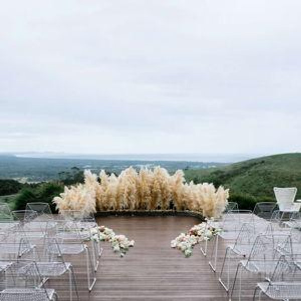 Our Wedding