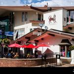 RED LION