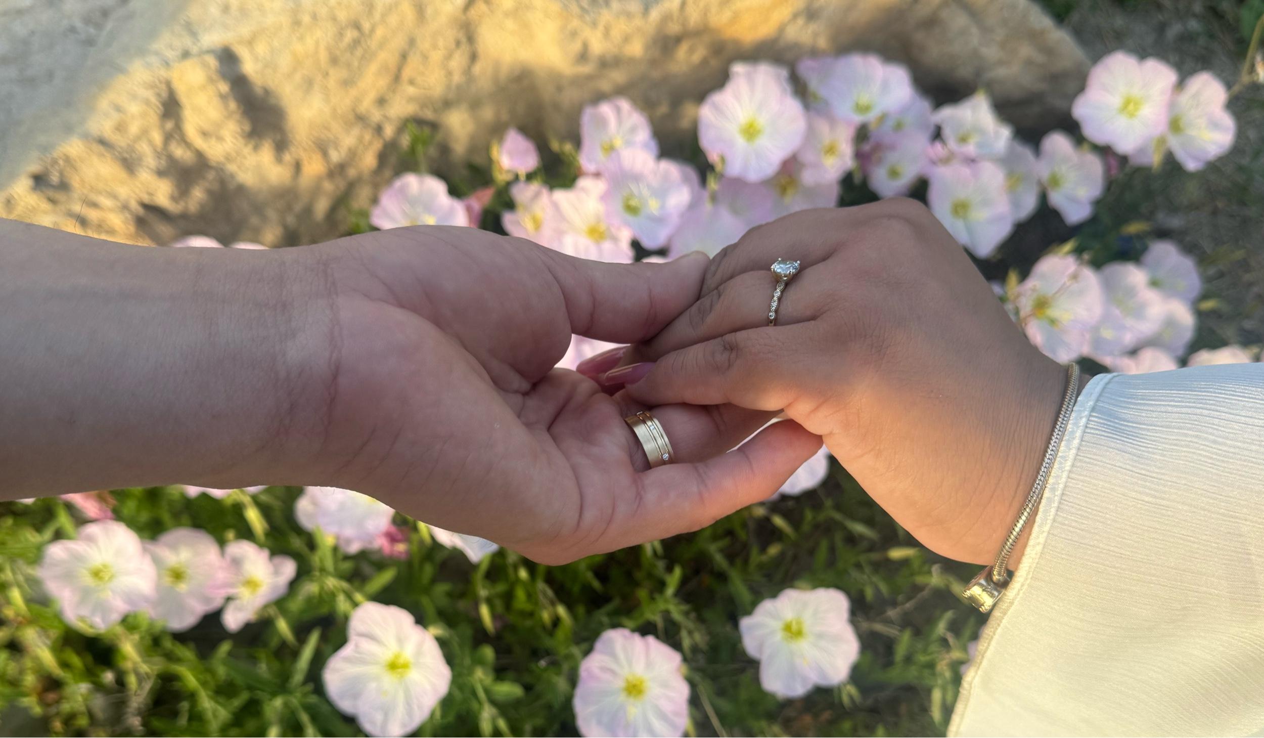 Hero Slideshow Image 4