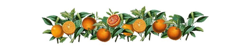 The Wedding Website of Alice Palmer and Aidan O'Kelly