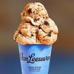 Van Leeuwen Ice Cream