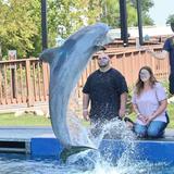 Mississippi Aquarium