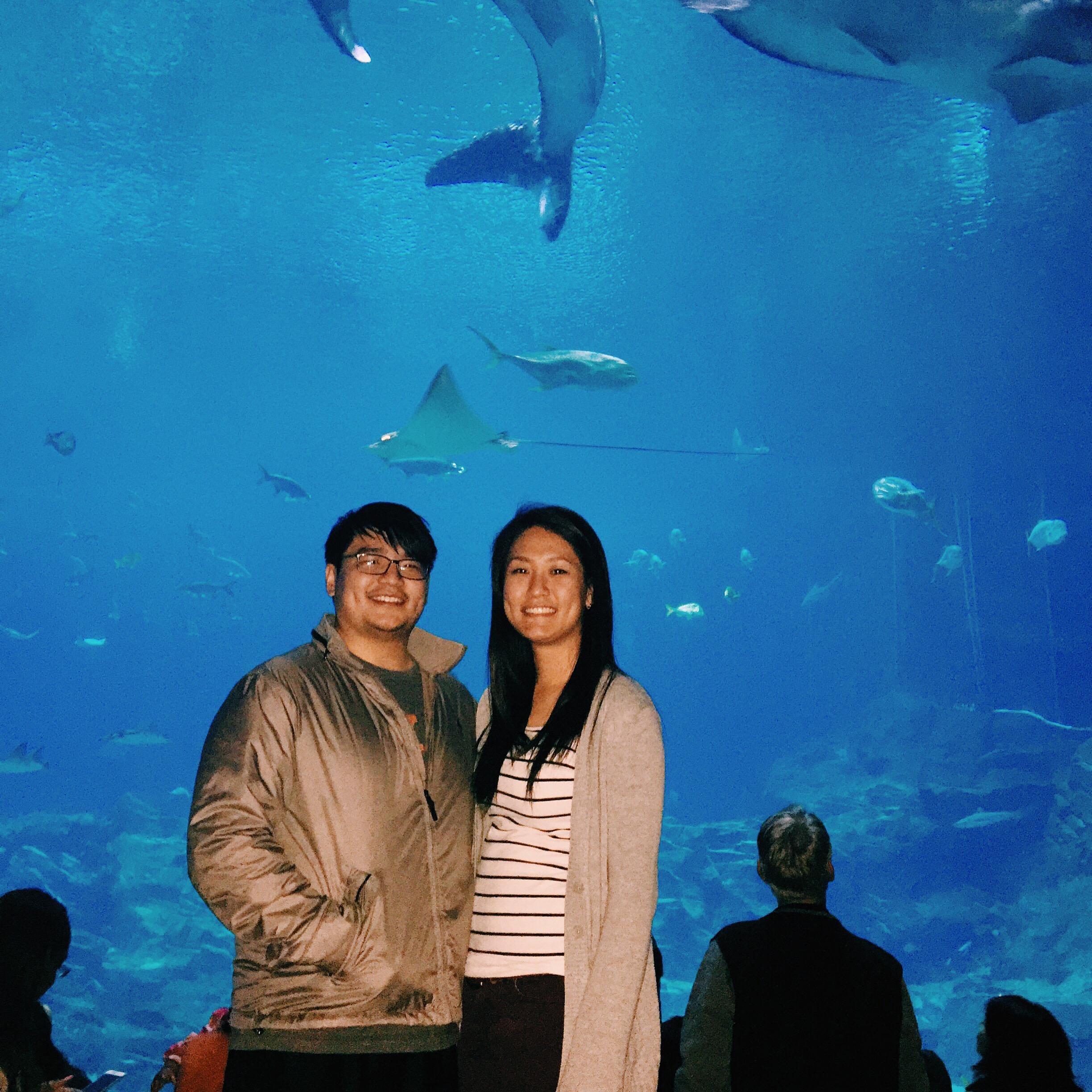 @ GA Aquarium