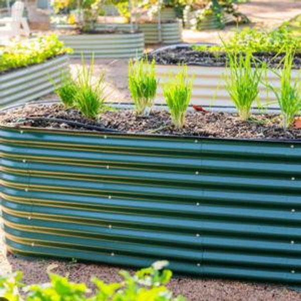 Vego Raised Garden Beds Extra Tall