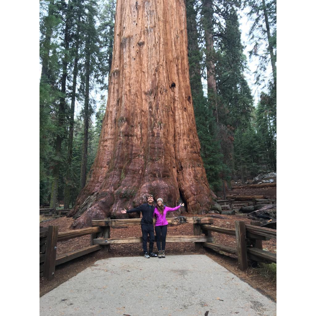 The biggest love deserves the largest tree!
