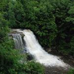 Swallow Falls State Park