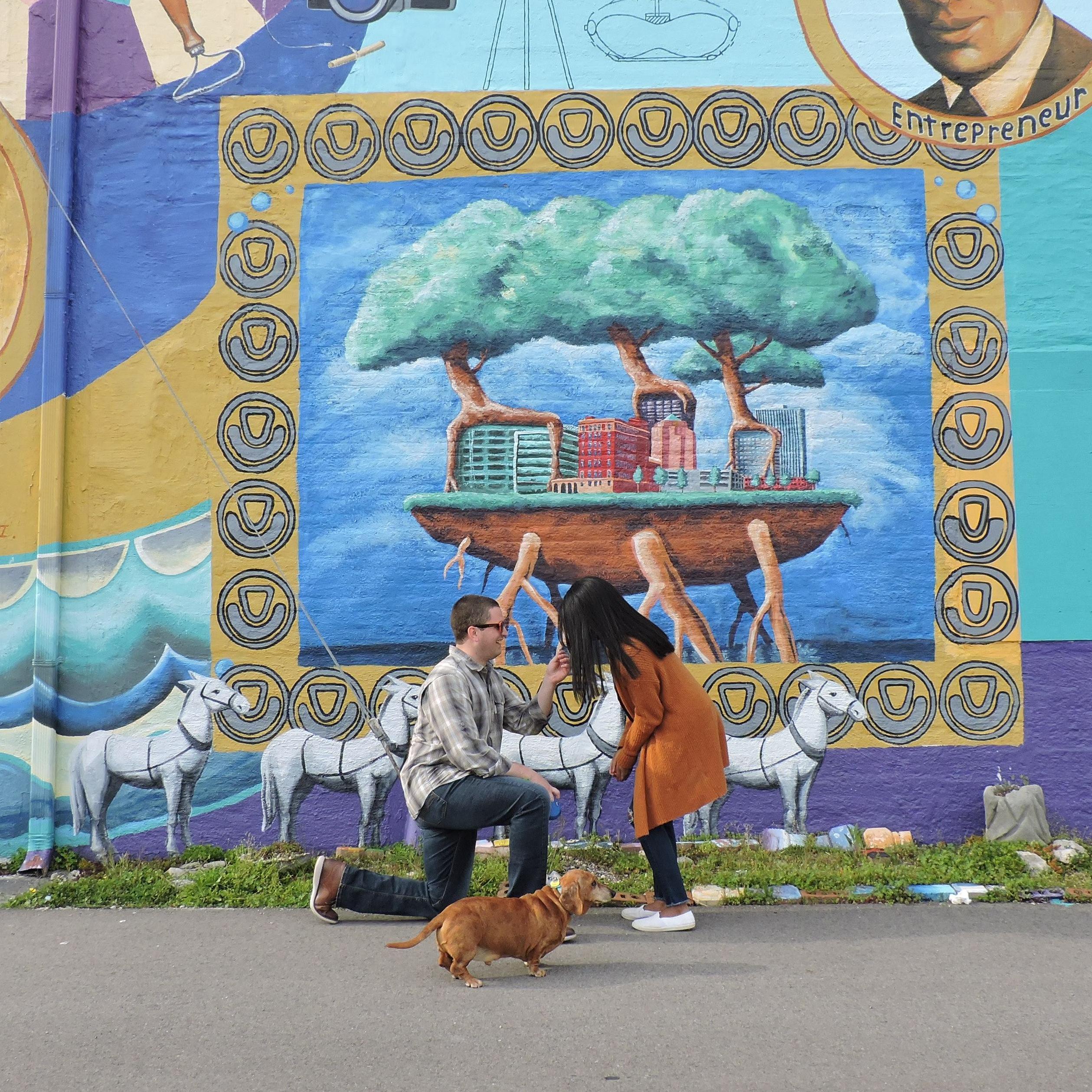 Our pandemic proposal! We had the tripod set up and Kyle got down on one knee right before the camera went off. Gunther was unphased.
April 11, 2020