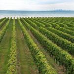 Niagara-on-the-Lake