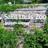 Saint Louis Zoo