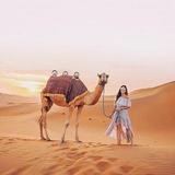 Desert Safari Dubai